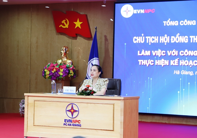 Chủ tịch Hội đồng thành viên EVNNPC Đỗ Nguyệt Ánh làm việc với Công ty Điện lực Hà Giang