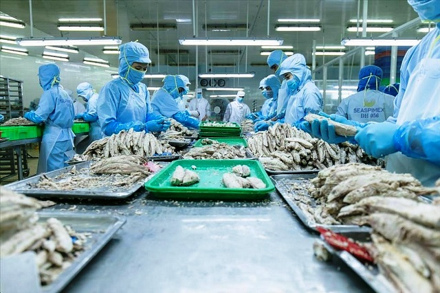 Xuất khẩu cá ngừ sang thị trường Hàn Quốc tăng mạnh