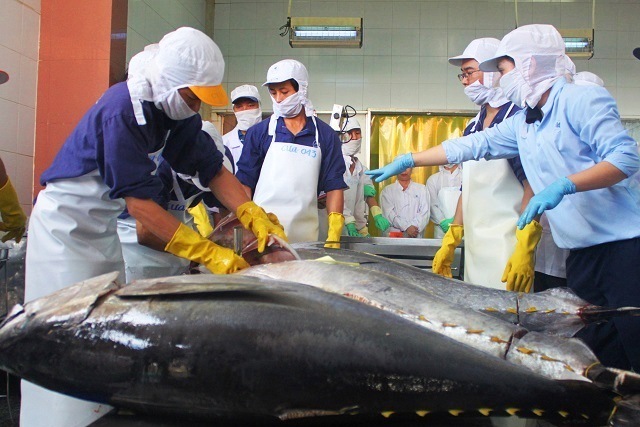 Xuất khẩu cá ngừ đóng hộp của Việt Nam tăng trưởng trở lại