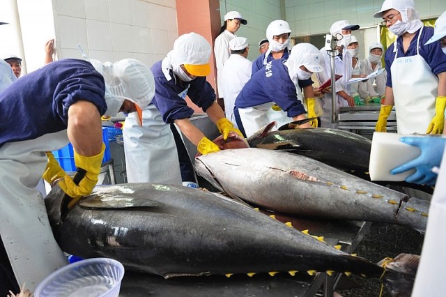 Chile đang có xu hướng tăng nhập khẩu cá ngừ từ Việt Nam