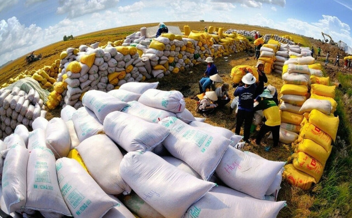 Đà giảm của giá gạo xuất khẩu bao giờ kết thúc?