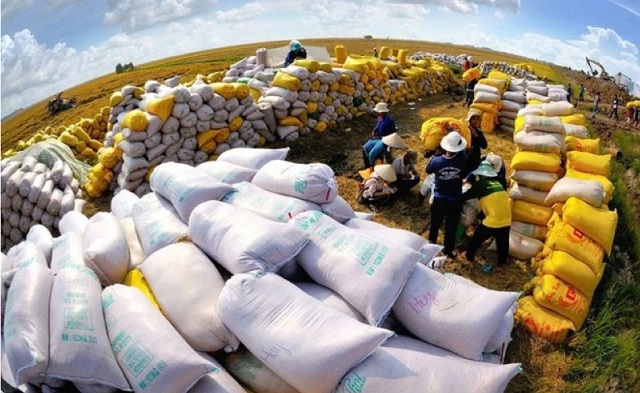 Xuất khẩu gạo lọt vào tốp những mặt hàng nông nghiệp có mức tăng trưởng cao
