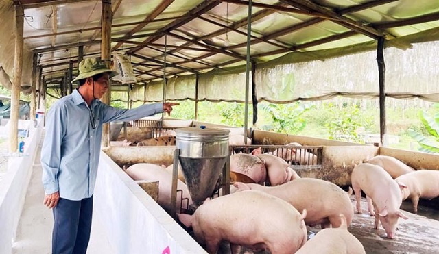 Chăn nuôi trong nước 'kêu cứu' vì nhập khẩu ồ ạt