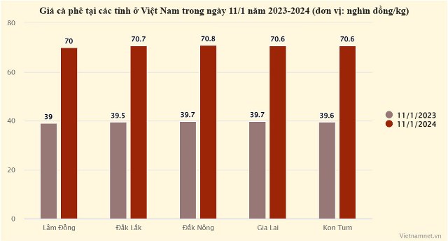 Giá cà phê phá đỉnh lịch sử, hàng Việt được dự báo lên cao nhất thế giới