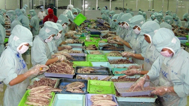 Phú Yên đầu tư hơn 2.100 tỷ đồng phát triển ngành thủy sản