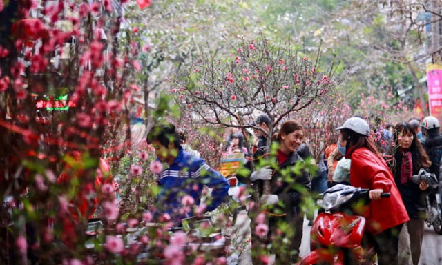 Hà Nội: Tổ chức 63 điểm chợ hoa xuân từ ngày 26-1