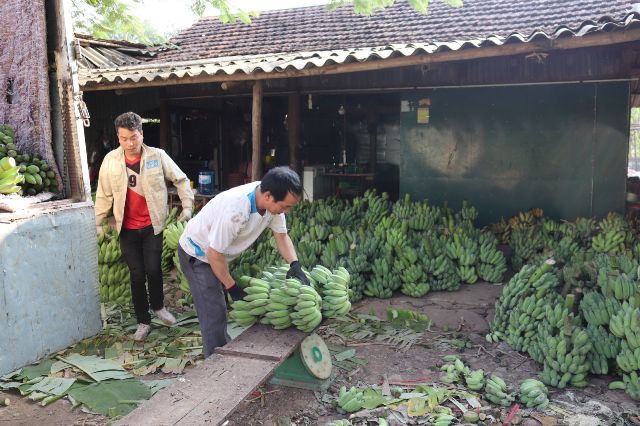 2019 - Năm bứt phá của nông sản Sơn La