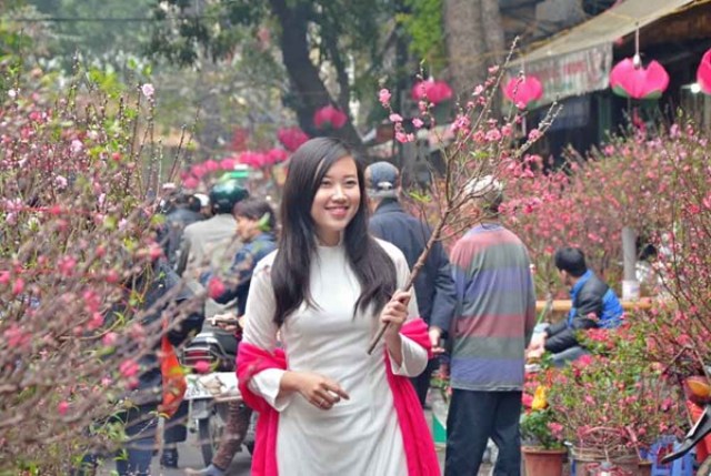 Hà Nội có 60 điểm chợ hoa Xuân phục vụ Tết Nguyên đán 2017
