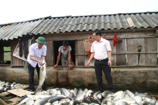 Thanh Hóa, Đồng Nai vào cuộc vụ việc cá chết trên địa bàn