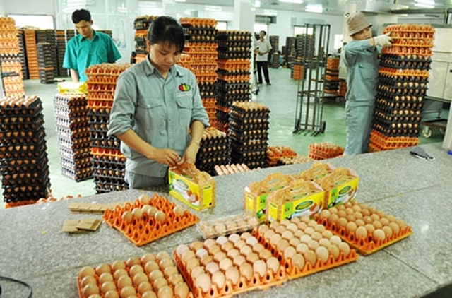 Bắc Ninh nâng cao giá trị sản phẩm nông nghiệp