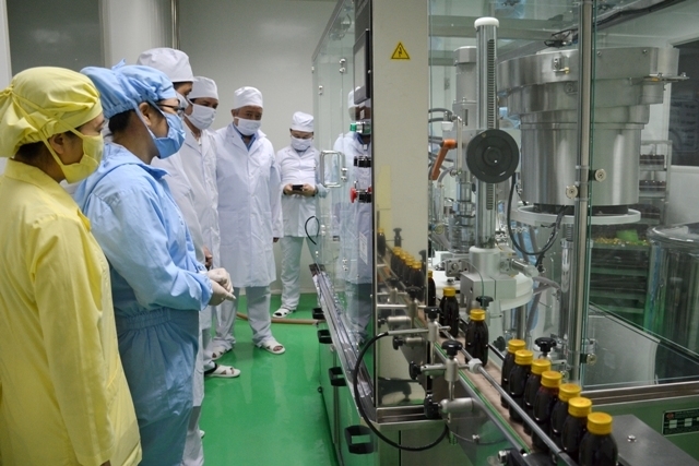 Quảng Ninh hướng đến trở thành trung tâm phát triển dược liệu