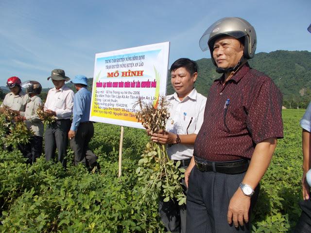 Huyện An Lão  - Tỉnh Bình Định: Nỗ lực triển khai nhiều giải pháp tối ưu phát triển kinh tế - xã hội