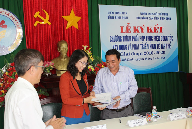 Liên minh HTX tỉnh Bình Định: Phát huy sức mạnh kinh tế tập thể - Tăng cường liên kết - Tạo sức bật mới từ Luật HTX 2012