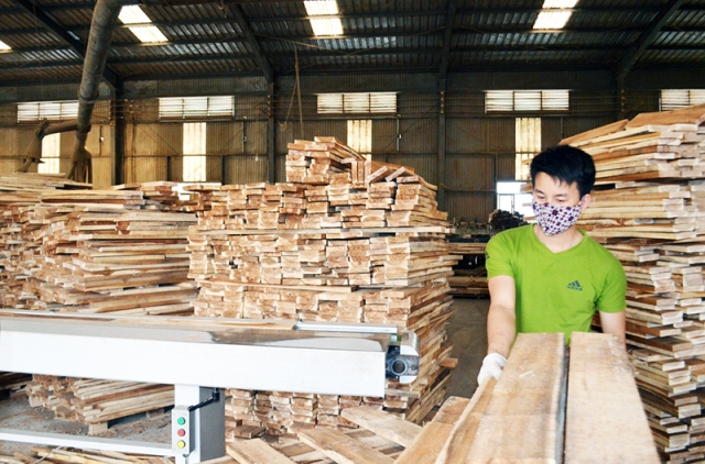 Khuyến công Quảng Ninh: Hỗ trợ doanh nghiệp đầu tư máy móc, công nghệ mới