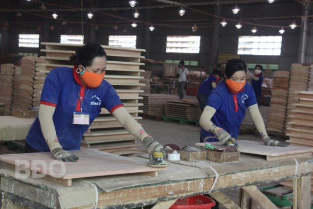 Hiệp hội Gỗ và Lâm sản Bình Định: Nắm bắt cơ hội, vượt thách thức để tạo thương hiệu bền vững cho ngành gỗ Bình Định