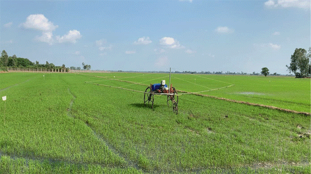Xe phun thuốc trừ sâu tự hành cho ruộng lúa