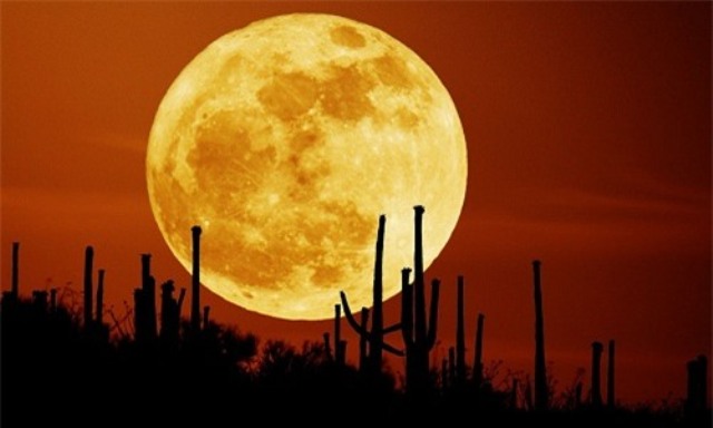 Ngày 14/11, người Việt được ngắm siêu trăng lớn nhất thế kỷ