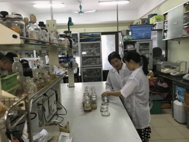VAST công bố nghiên cứu xử lý rác thải nilon bằng công nghệ sinh học