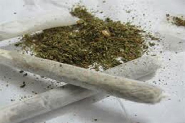 Hà Nội: Lực lượng chức năng bắt giữ 04 kg thảo mộc sấy khô nghi là ma túy