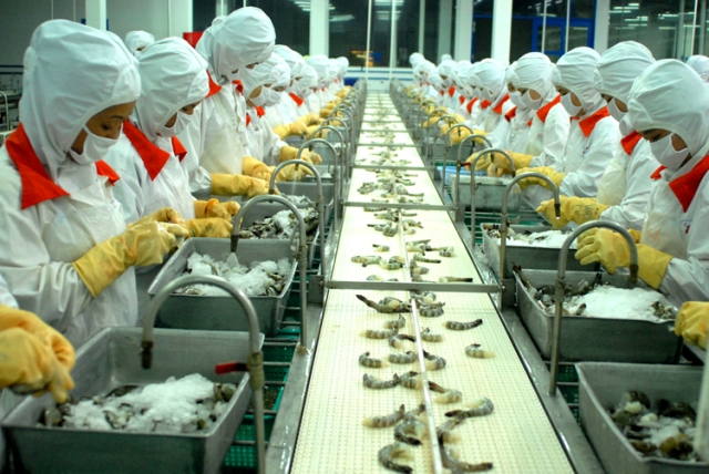 Australia cấm nhập khẩu tôm và thịt tôm chưa nấu chín