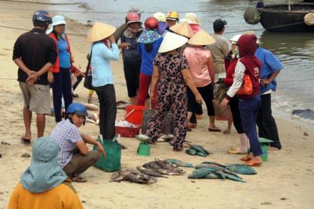 Triển khai bồi thường thiệt hại sự cố môi trường biển tại 4 tỉnh miền Trung