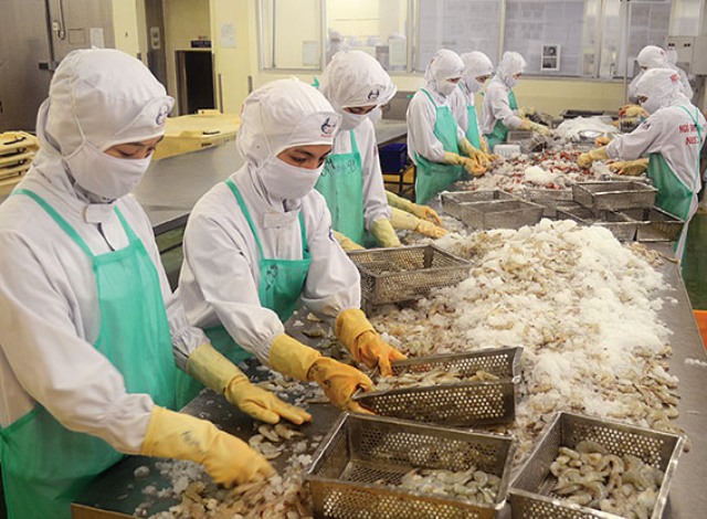 11 lô hàng thủy sản Việt Nam vào EU bị cảnh báo dư kim loại nặng