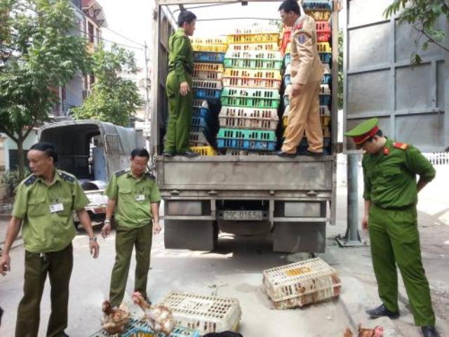 Bộ NN&PTNT ban hành Công điện khẩn về việc ngăn chặn tình trạng nhập lậu, vận chuyển trái phép động vật vào Việt Nam