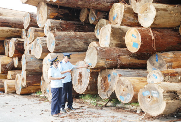 Ngừng tạm nhập, tái xuất gỗ rừng tự nhiên từ Lào và Campuchia