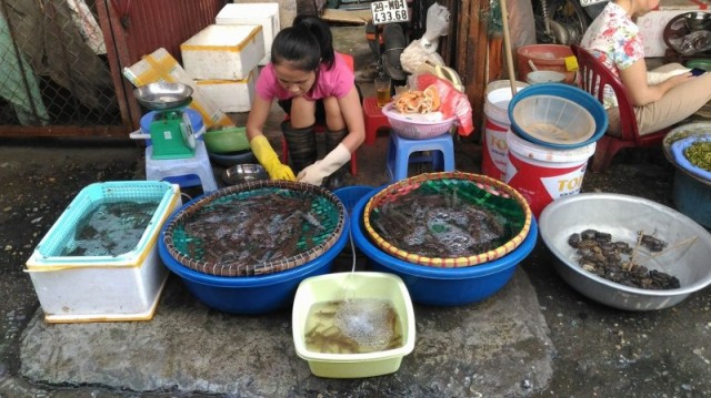 Chất lượng hải sản 4 tỉnh miền Trung: Biết đâu là hải sản tầng đáy?
