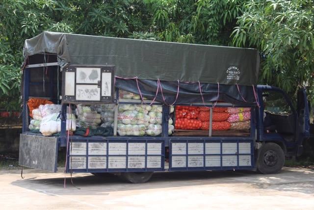 Xe tải chở bắp cải, cải thảo Trung Quốc về Việt Nam tiêu thụ bị bắt giữ