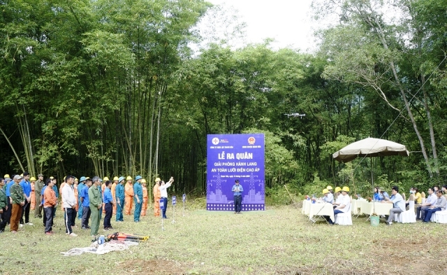 PC Thanh Hóa ra quân giải phóng hành lang an toàn lưới điện