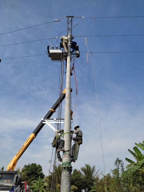 PC Hải Phòng lắp đặt máy cắt Recloser trên đường dây 35 kV nhằm nâng cao độ tin cậy cung cấp điện trên địa bàn huyện Tiên Lãng