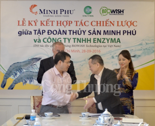 Minh Phú và ENZYMA: Hợp tác để nâng tầm giá trị con tôm Việt