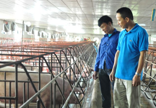 Cựu chiến binh Nguyễn Văn Đẩu: Biến chất thải nông nghiệp thành nhiên liệu sinh học ở trang trại chăn nuôi 