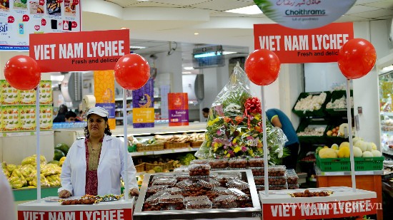 Đẩy mạnh tiêu thụ hàng Việt tại Trung Đông