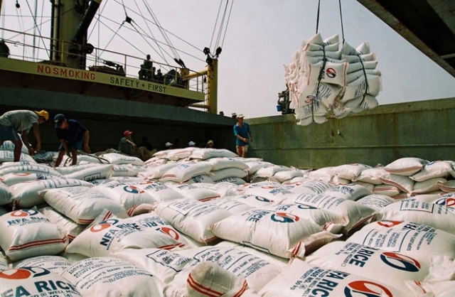Công nhận 8 doanh nghiệp đủ tiêu chuẩn khử trùng gạo xuất khẩu