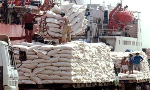 Mỗi năm xuất khẩu 4,5-5 triệu tấn gạo, thu về 2,3 tỷ USD