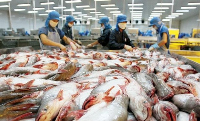 Việt Nam có 60 cơ sở đủ điều kiện xuất khẩu cá da trơn vào Mỹ