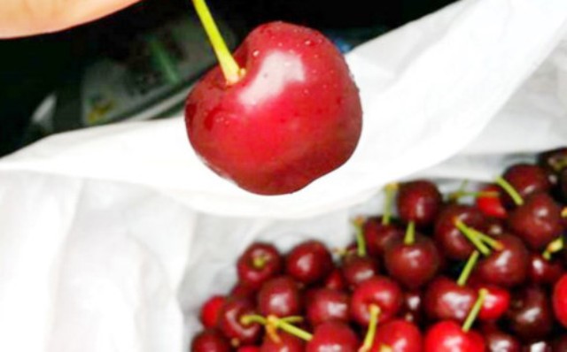 Cherry Úc sạch chính thức được vào Việt Nam