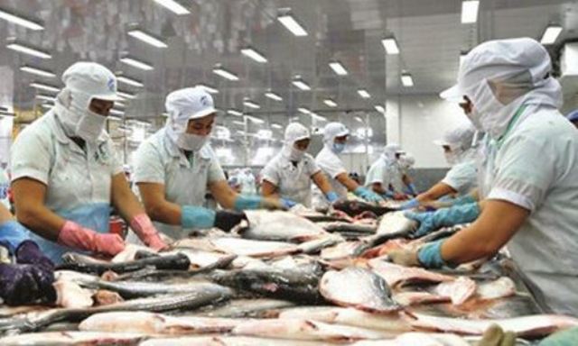 Việt Nam khiếu nại lên WTO về thuế nhập khẩu của Mỹ với cá Việt Nam