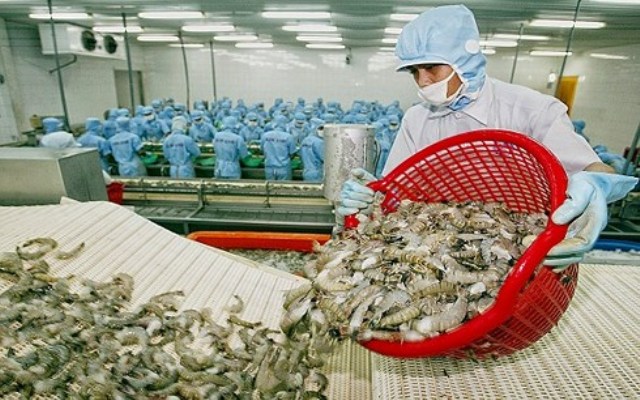 Australia kiểm tra chuỗi sản xuất tôm tại Việt Nam