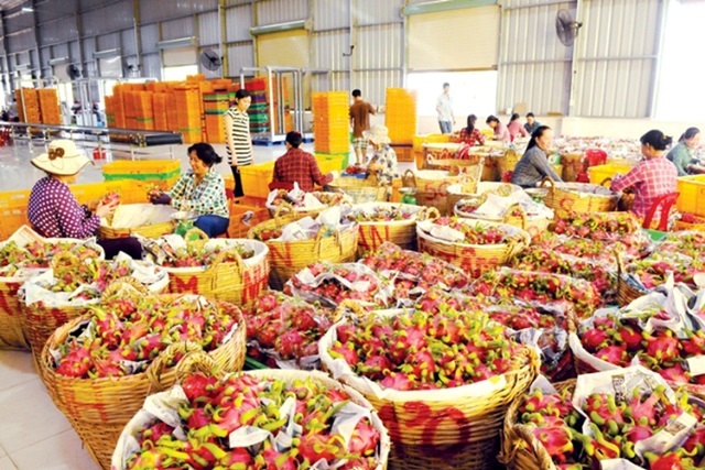 Nhật kiểm tra 100% đối với nông sản Việt do dư lượng thuốc bảo vệ thực vật