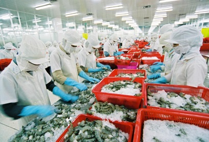 VASEP dự báo xuất khẩu hải sản năm 2016 tăng 13%