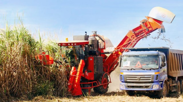 DN Việt ra nước ngoài khai khoáng và làm nông nghiệp