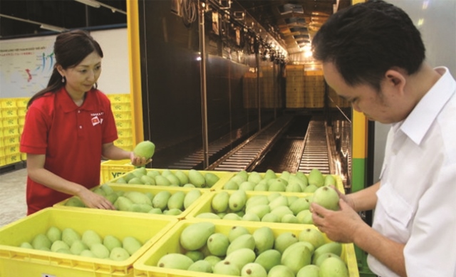 Trái cây Việt lép vế ở thị trường lớn