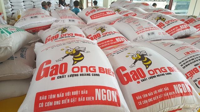 Tương lai nào cho xuất khẩu gạo của Việt Nam?