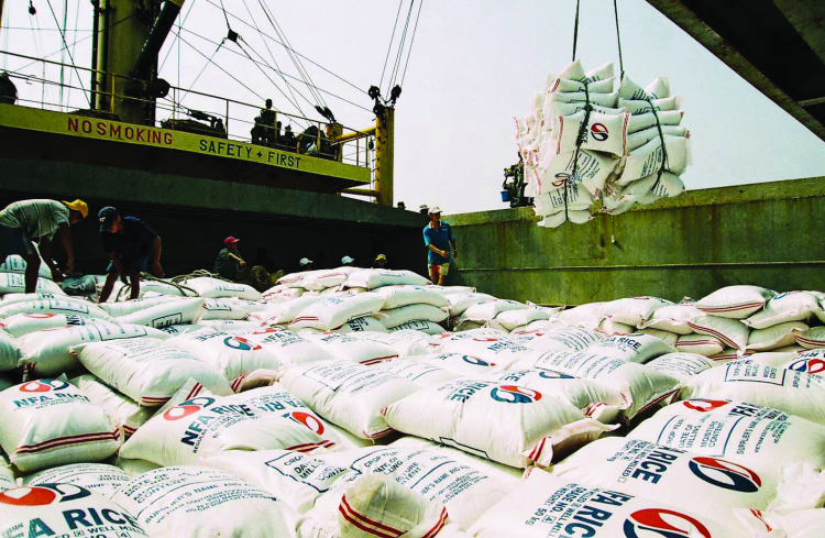 Xuất khẩu gạo Việt Nam xác định thị trường chủ lực
