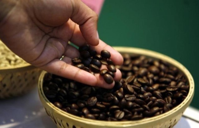 Ảnh hưởng thiên tai, Brazil nhập khẩu cà phê vối của Việt Nam