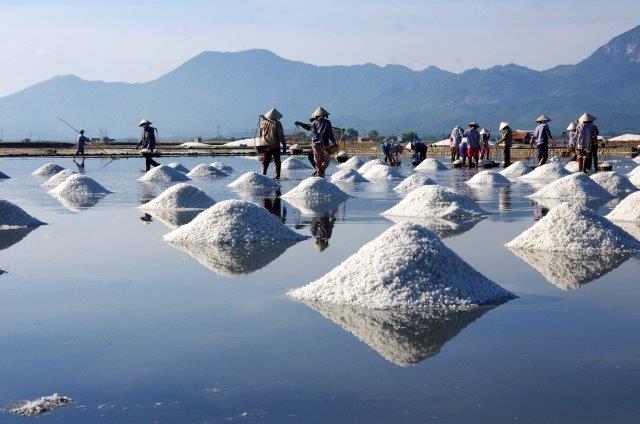 Sẽ nhập hơn 100.000 tấn muối nguyên liệu năm 2017