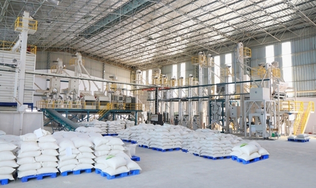 Giá chào bán gạo xuất khẩu của Việt Nam tiếp tục tăng mạnh